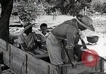Image of Tuskegee Airman 99th Pursuit Squadron visited by family Tuskegee Alabama USA, 1942, second 20 stock footage video 65675023998