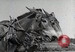 Image of Tuskegee Airman 99th Pursuit Squadron visited by family Tuskegee Alabama USA, 1942, second 27 stock footage video 65675023998