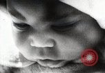 Image of Civil rights movement United States USA, 1963, second 32 stock footage video 65675024054