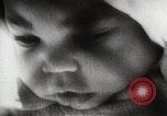 Image of Civil rights movement United States USA, 1963, second 33 stock footage video 65675024054