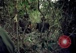 Standbild Operation Cedar Falls Vietnam, 1967, aus Sekunde 3 historischem Filmmaterial Videoclip 65675024058
