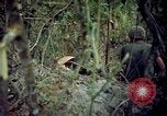 Standbild Operation Cedar Falls Vietnam, 1967, aus Sekunde 12 historischem Filmmaterial Videoclip 65675024058
