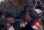 Image of Operation Cedar Falls Vietnam, 1967, second 46 stock footage video 65675024059