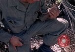 Image of Operation Cedar Falls Vietnam, 1967, second 51 stock footage video 65675024059