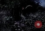 Image of Operation Cedar Falls Vietnam, 1967, second 55 stock footage video 65675024059