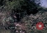 Image of Operation Cedar Falls Vietnam, 1967, second 58 stock footage video 65675024059