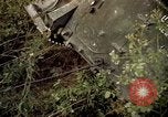 Standbild Operation Cedar Falls Vietnam, 1967, aus Sekunde 19 historischem Filmmaterial Videoclip 65675024060