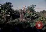 Standbild Operation Cedar Falls Vietnam, 1967, aus Sekunde 51 historischem Filmmaterial Videoclip 65675024061