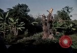 Standbild Operation Cedar Falls Vietnam, 1967, aus Sekunde 52 historischem Filmmaterial Videoclip 65675024061