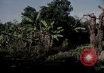 Standbild Operation Cedar Falls Vietnam, 1967, aus Sekunde 53 historischem Filmmaterial Videoclip 65675024061