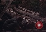 Image of Operation Hawthorne Vietnam, 1966, second 4 stock footage video 65675024063