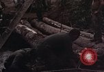 Image of Operation Hawthorne Vietnam, 1966, second 6 stock footage video 65675024063