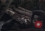 Image of Operation Hawthorne Vietnam, 1966, second 8 stock footage video 65675024063
