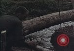 Image of Operation Hawthorne Vietnam, 1966, second 13 stock footage video 65675024063