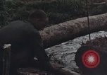 Image of Operation Hawthorne Vietnam, 1966, second 14 stock footage video 65675024063