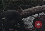 Image of Operation Hawthorne Vietnam, 1966, second 16 stock footage video 65675024063