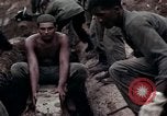 Image of Operation Hawthorne Vietnam, 1966, second 34 stock footage video 65675024063