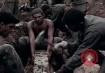 Image of Operation Hawthorne Vietnam, 1966, second 35 stock footage video 65675024063