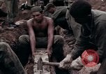 Image of Operation Hawthorne Vietnam, 1966, second 40 stock footage video 65675024063