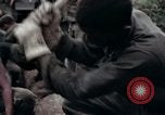Image of Operation Hawthorne Vietnam, 1966, second 45 stock footage video 65675024063