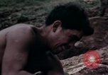 Image of Operation Hawthorne Vietnam, 1966, second 54 stock footage video 65675024063