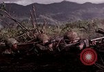 Image of Operation Hawthorne Vietnam, 1966, second 20 stock footage video 65675024067