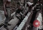 Image of Operation Hawthorne Vietnam, 1966, second 36 stock footage video 65675024070