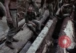 Image of Operation Hawthorne Vietnam, 1966, second 38 stock footage video 65675024070