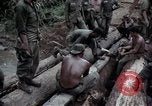 Image of Operation Hawthorne Vietnam, 1966, second 40 stock footage video 65675024070