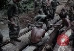 Image of Operation Hawthorne Vietnam, 1966, second 41 stock footage video 65675024070