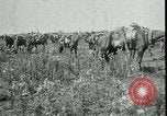 Standbild Schlacht von Arras Frankreich, 1917, aus Sekunde 5 historischem Filmmaterial Videoclip 65675024073