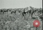 Standbild Schlacht von Arras Frankreich, 1917, aus Sekunde 6 historischem Filmmaterial Videoclip 65675024073
