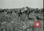 Standbild Schlacht von Arras Frankreich, 1917, aus Sekunde 7 historischem Filmmaterial Videoclip 65675024073
