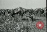 Standbild Schlacht von Arras Frankreich, 1917, aus Sekunde 9 historischem Filmmaterial Videoclip 65675024073
