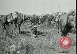 Standbild Schlacht von Arras Frankreich, 1917, aus Sekunde 11 historischem Filmmaterial Videoclip 65675024073