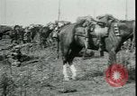 Standbild Schlacht von Arras Frankreich, 1917, aus Sekunde 14 historischem Filmmaterial Videoclip 65675024073