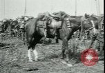 Standbild Schlacht von Arras Frankreich, 1917, aus Sekunde 16 historischem Filmmaterial Videoclip 65675024073