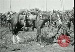Standbild Schlacht von Arras Frankreich, 1917, aus Sekunde 17 historischem Filmmaterial Videoclip 65675024073
