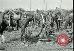 Standbild Schlacht von Arras Frankreich, 1917, aus Sekunde 19 historischem Filmmaterial Videoclip 65675024073