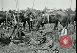 Standbild Schlacht von Arras Frankreich, 1917, aus Sekunde 23 historischem Filmmaterial Videoclip 65675024073