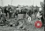 Standbild Schlacht von Arras Frankreich, 1917, aus Sekunde 25 historischem Filmmaterial Videoclip 65675024073