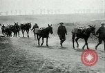 Image Bataille d'Arras France, 1917, de la seconde 9 séquences d'archives historiques vidéo 65675024078
