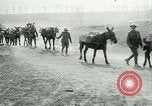 Image Bataille d'Arras France, 1917, de la seconde 11 séquences d'archives historiques vidéo 65675024078