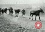 Image Bataille d'Arras France, 1917, de la seconde 12 séquences d'archives historiques vidéo 65675024078