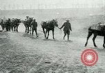 Image Bataille d'Arras France, 1917, de la seconde 13 séquences d'archives historiques vidéo 65675024078
