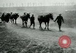 Image Bataille d'Arras France, 1917, de la seconde 14 séquences d'archives historiques vidéo 65675024078
