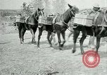 Image Bataille d'Arras France, 1917, de la seconde 15 séquences d'archives historiques vidéo 65675024078