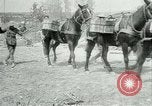 Image Bataille d'Arras France, 1917, de la seconde 16 séquences d'archives historiques vidéo 65675024078