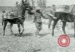 Image Bataille d'Arras France, 1917, de la seconde 18 séquences d'archives historiques vidéo 65675024078