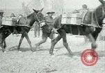 Image Bataille d'Arras France, 1917, de la seconde 23 séquences d'archives historiques vidéo 65675024078